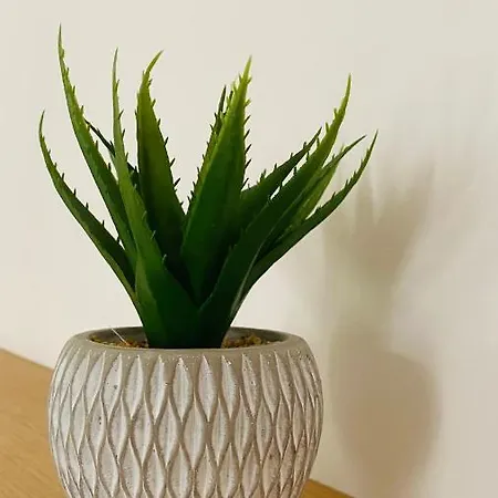 Le Bout Du Monde Hyper-centre Apartamento Carcassonne